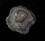 AGATE 2
