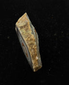 AGATE 2